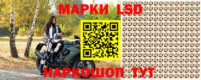 СК Апшеронск