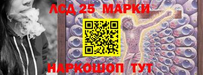 СК Апшеронск