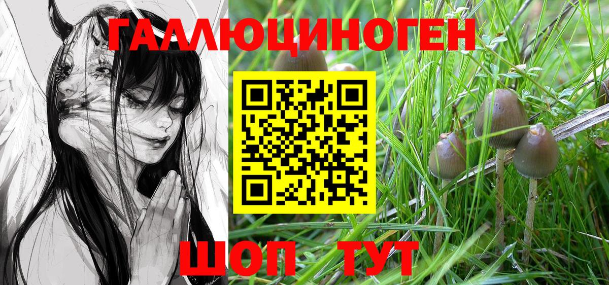 Галлюциногенные грибы Cubensis Всеволожск